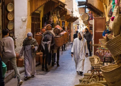 Historic medina of Fes with surrounding hills, an essential cultural stop on an Atlas itinerary.